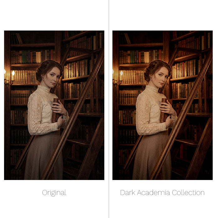 Dark Academia Presets - For Lightroom