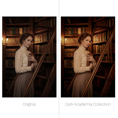 Dark Academia Presets - For Lightroom