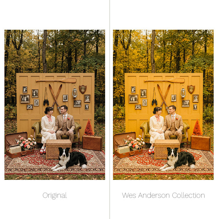 Wes Anderson Presets - For Lightroom