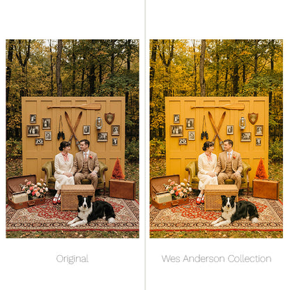Wes Anderson Presets - For Lightroom