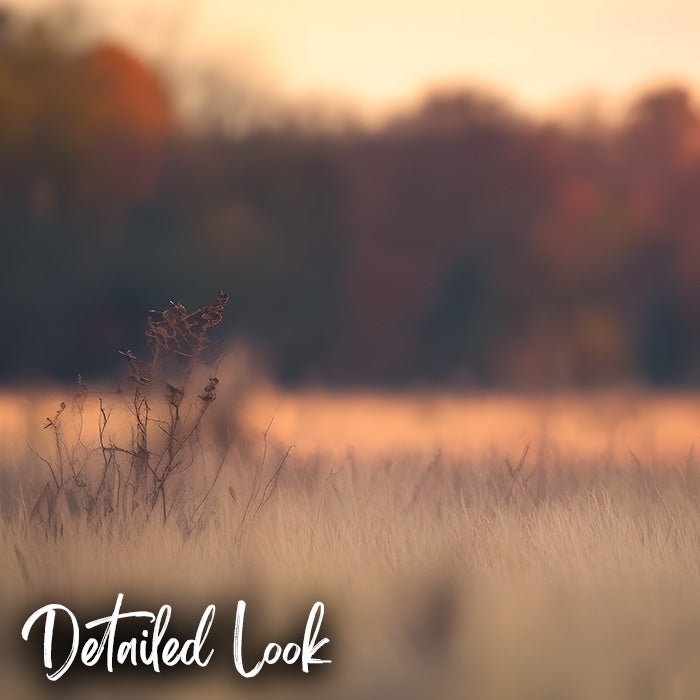 Grassy Fall Field - Digital Backdrop