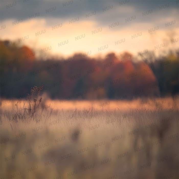 Grassy Fall Field - Digital Backdrop