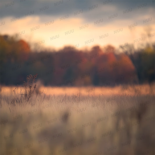 Grassy Fall Field - Digital Backdrop