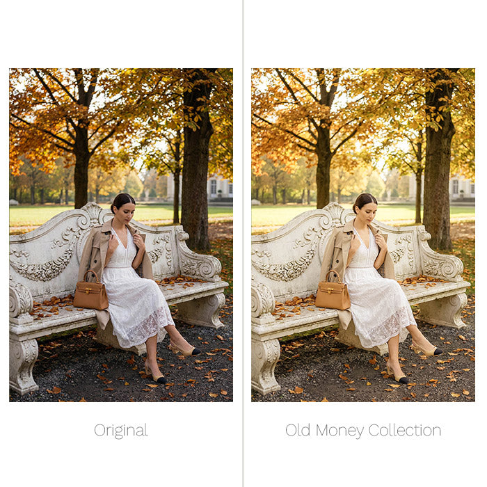 Old Money Presets - For Lightroom