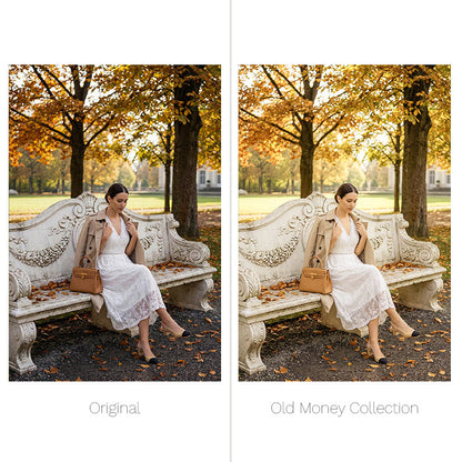 Old Money Presets - For Lightroom