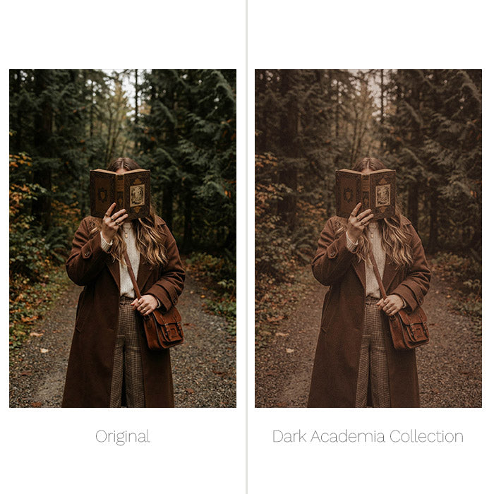 Dark Academia Presets - For Lightroom