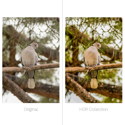 HDR Presets - For Lightroom