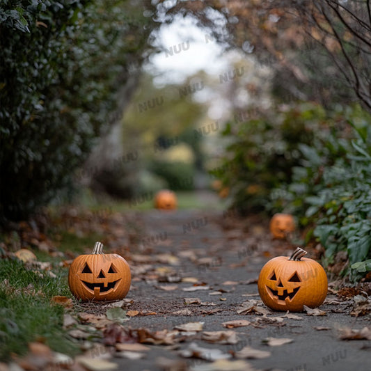 Jack-o-Lantern Pathway - Digital Backdrop