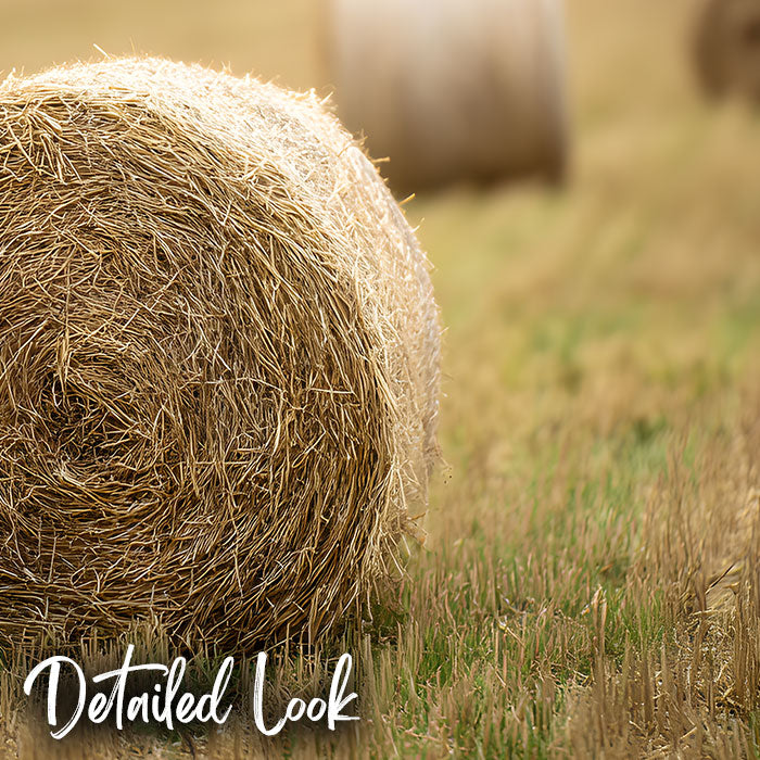 Round Hay Bales - Digital Backdrop