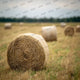 Round Hay Bales - Digital Backdrop