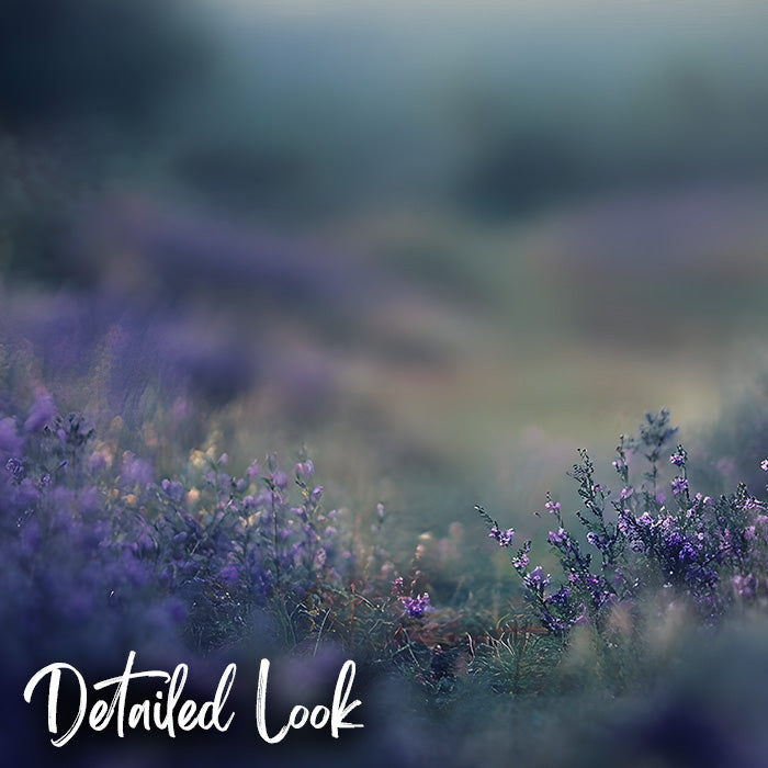 Heather Field - Digital Backdrop