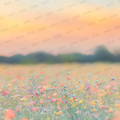 Summer Meadow - Digital Backdrop