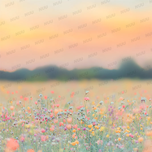 Summer Meadow - Digital Backdrop