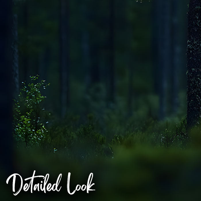 Dark Forest - Digital Backdrop