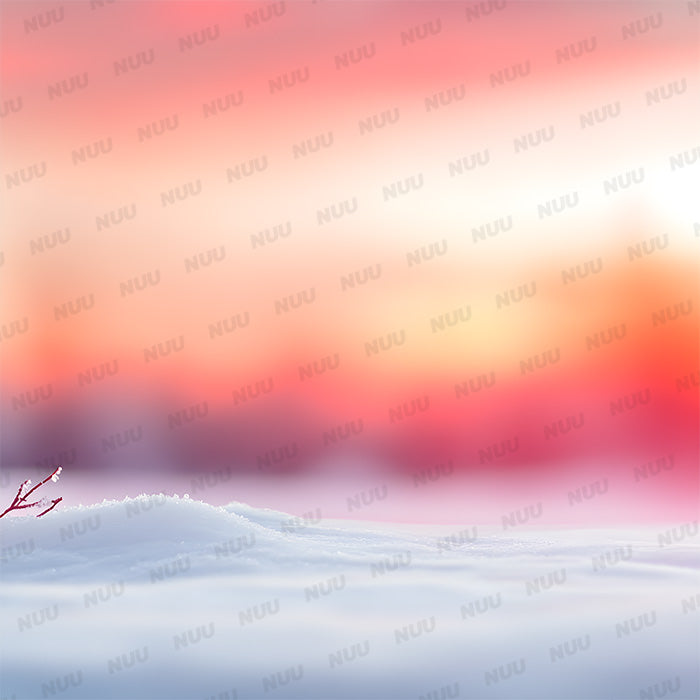 Winter Sunset - Digitial Backdrop