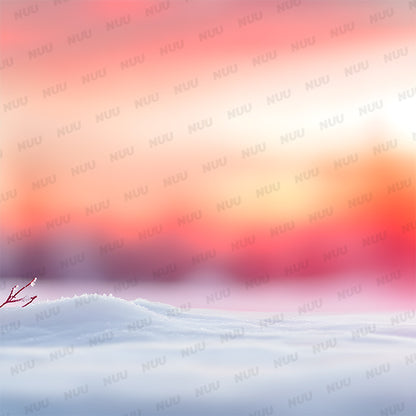 Winter Sunset - Digitial Backdrop