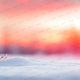 Winter Sunset - Digitial Backdrop