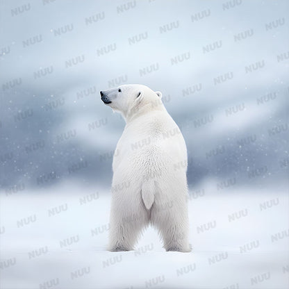 Polar Bear - Digital Backdrop