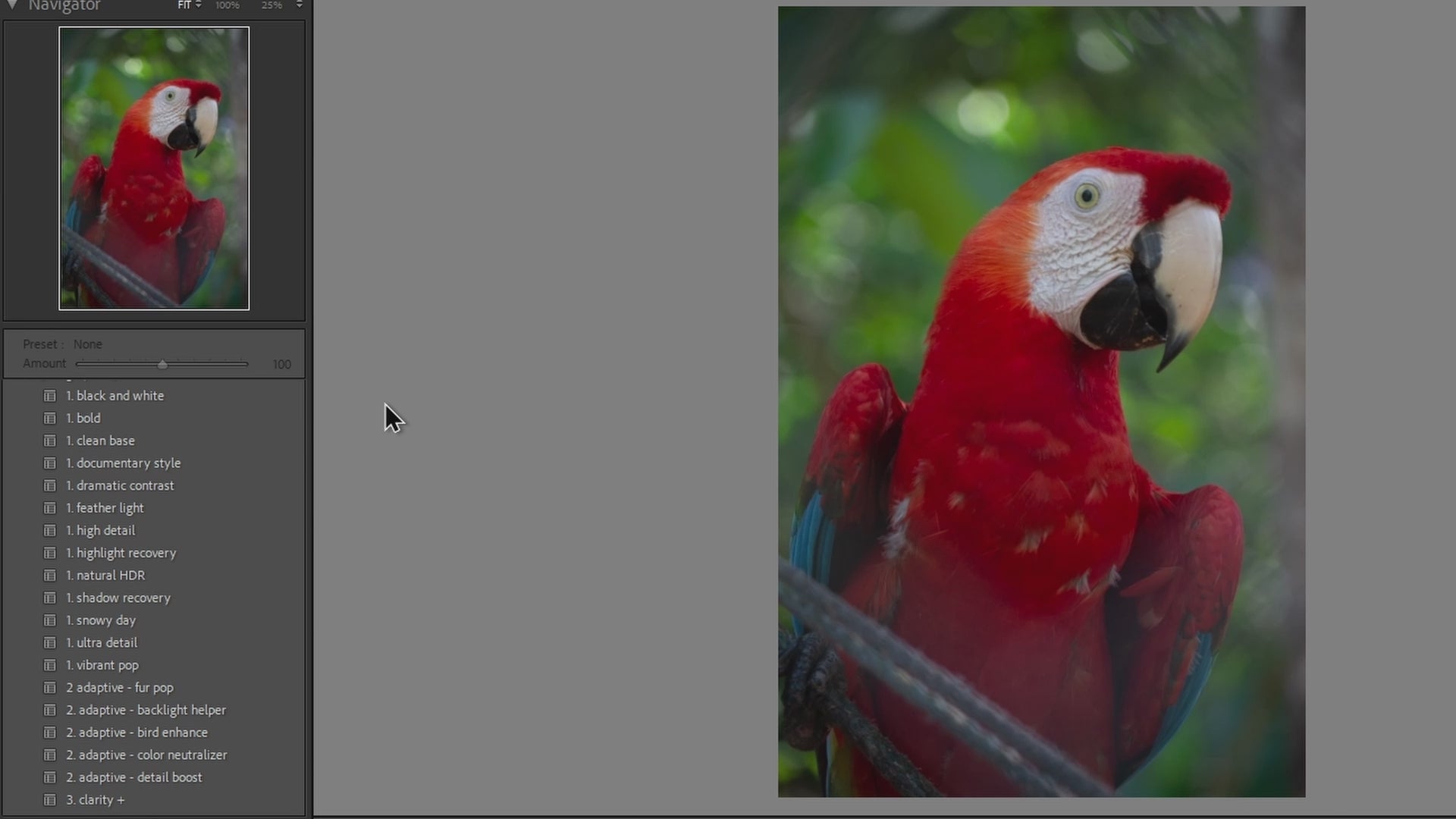 Load video: portrait preset collection overview