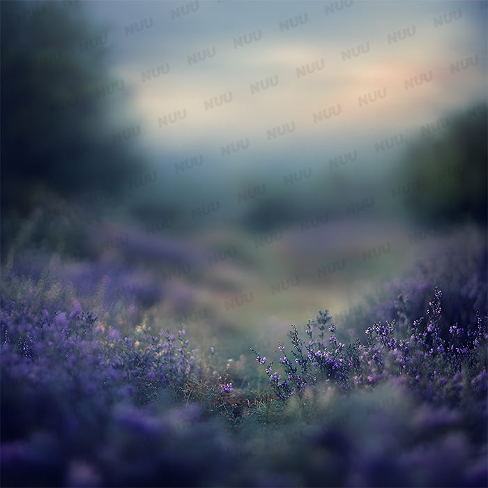 Heather Field - Digital Backdrop