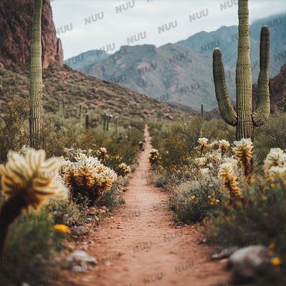 Desert Cactus Trail - Digital Backdrop