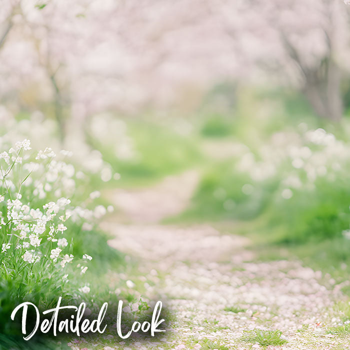 Sakura Tree Path - Digital Backdrop