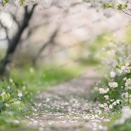 Cherry Blossom Pathway - Digital Backdrop