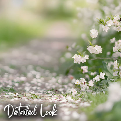 Cherry Blossom Pathway - Digital Backdrop