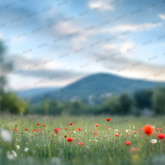 Summer Wildflower Meadow – Digital Backdrop