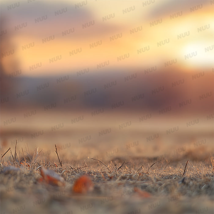 Sunset Autumn Field - Digital Backdrop