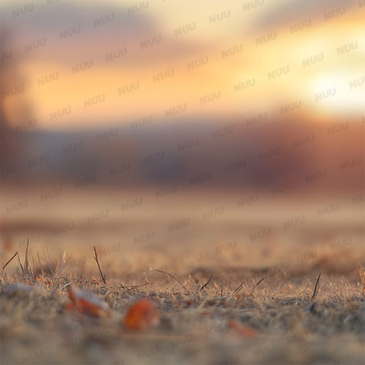 Sunset Autumn Field - Digital Backdrop