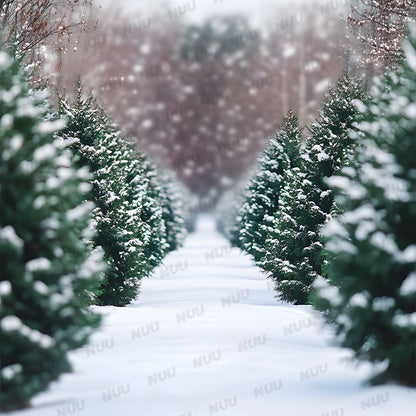 Fir Trees - Digital Backdrop