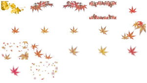 Autumn Leaves & Branch Overlays