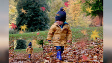 Load image into Gallery viewer, Autumn Leaves &amp; Branch Overlays